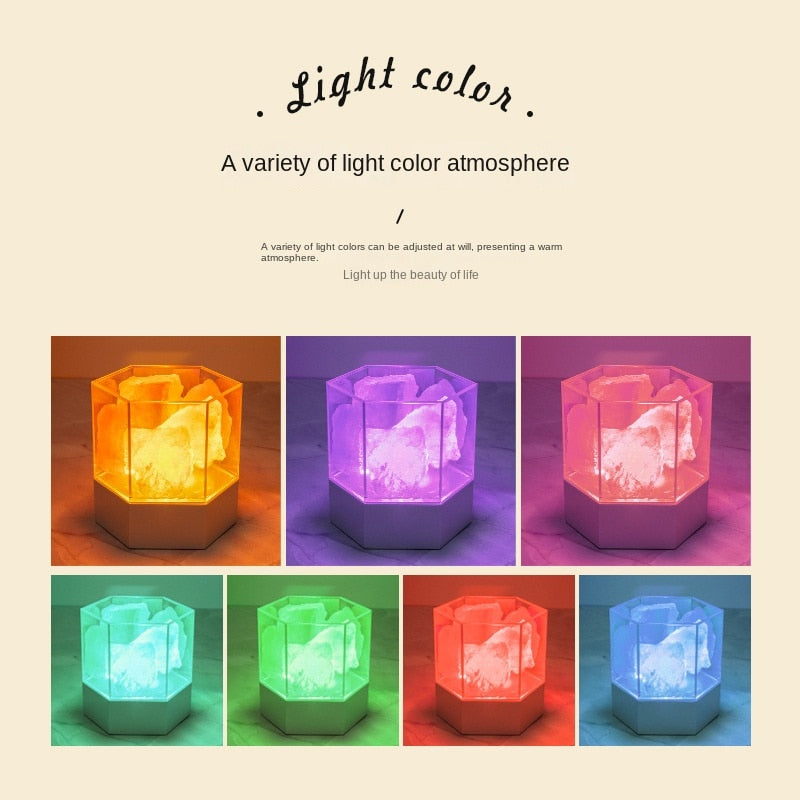 Lampe Sel de l'Himalaya