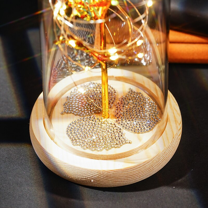 Rose Eternelle Lumineuse