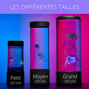 Lampe de Méduse