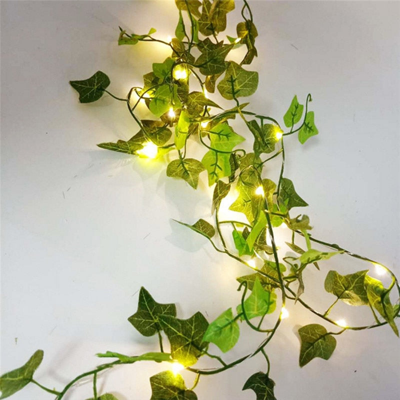 Guirlande Lumineuse Plante Orange