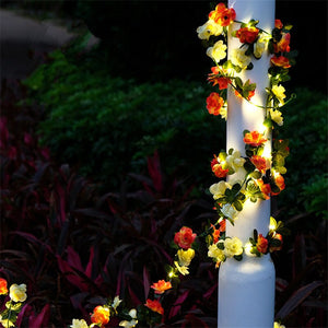 Guirlande Lumineuse Plante Tournesole