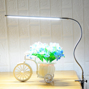 Lampes de Bureau LED Puissante