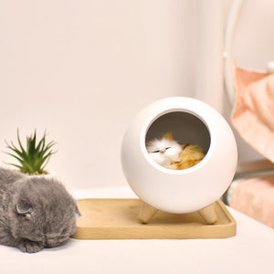 lampe veilleuse chat blanc