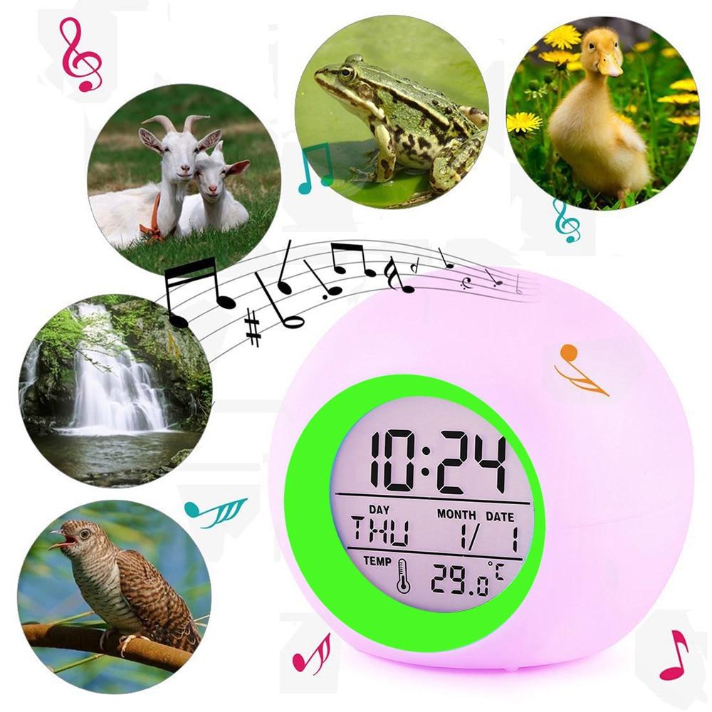 Veilleuse Musicale Adulte LED